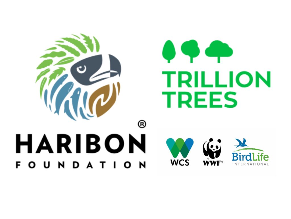 Guardian of Memory Mail Club, founded by Den Argao, supports Haribon Foundation’s Trillion Trees initiative — a commitment to help restore Philippine forests through every artwork collected.